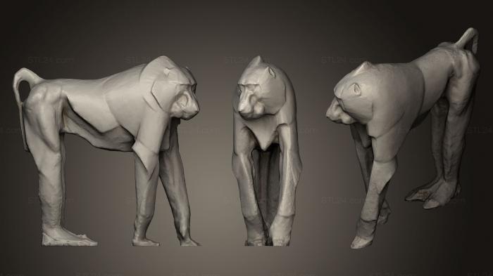 Статуэтки животных (Бабуин бугатти, STKJ_0484) 3D модель для ЧПУ станка